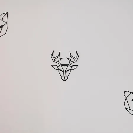 Republic'studio Avec Parking !