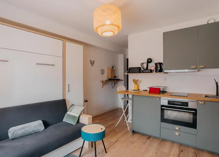 Republic'studio Avec Parking !